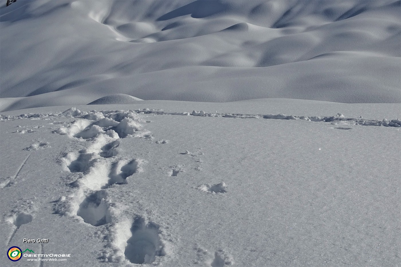 34 Bello anche se faticoso camminare affondando un po' nella neve.JPG